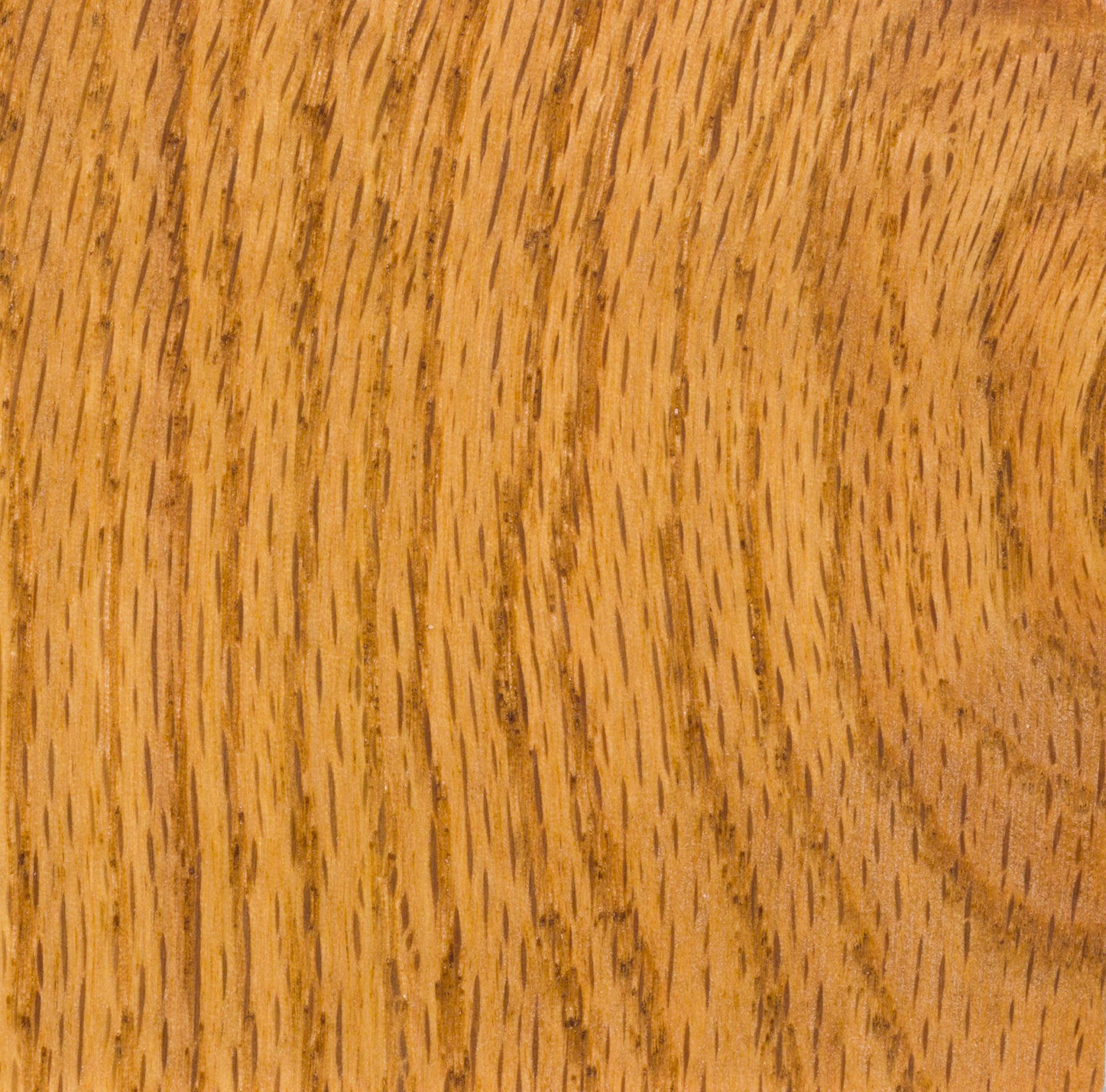 Watco 65951 Danish Oil Wood Finish, Pint, Medium Walnut : Buy